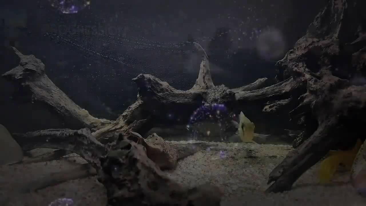 掐指一算·也该生了呀🤔……