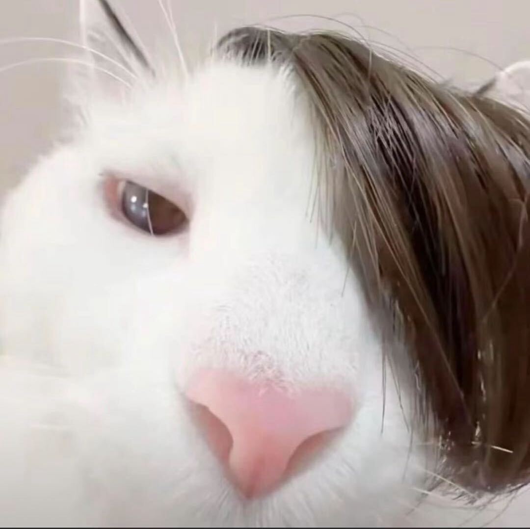 少一点心事