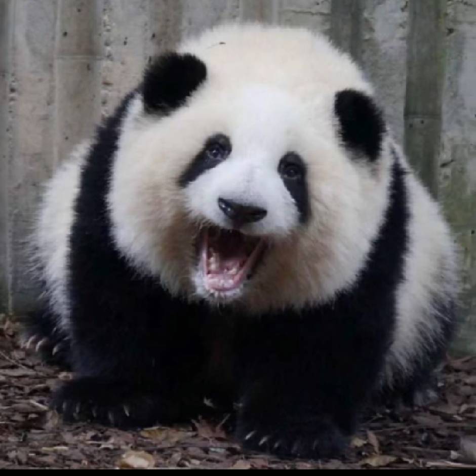 爱蓉家