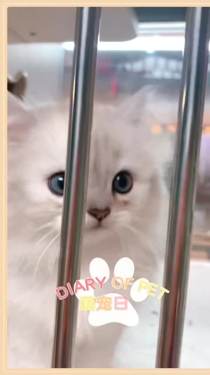 🖼🧸
哟！这哪来的宝贝啊？这么可爱