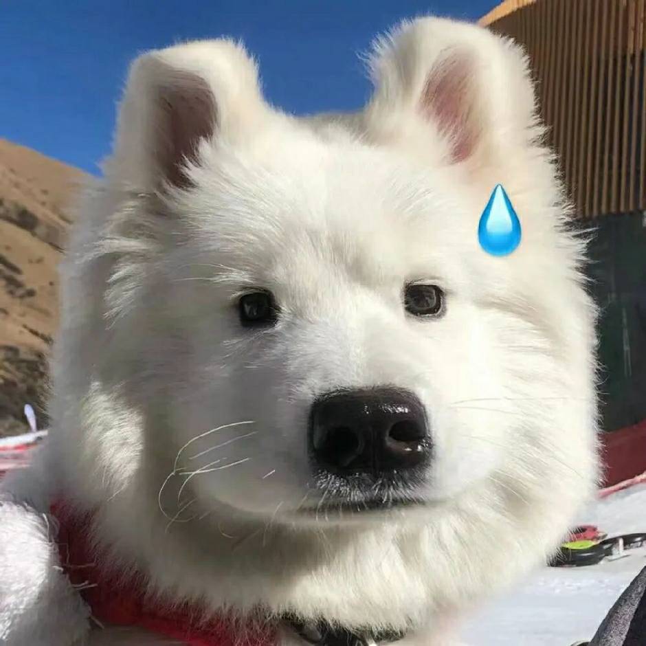 狗酱丶