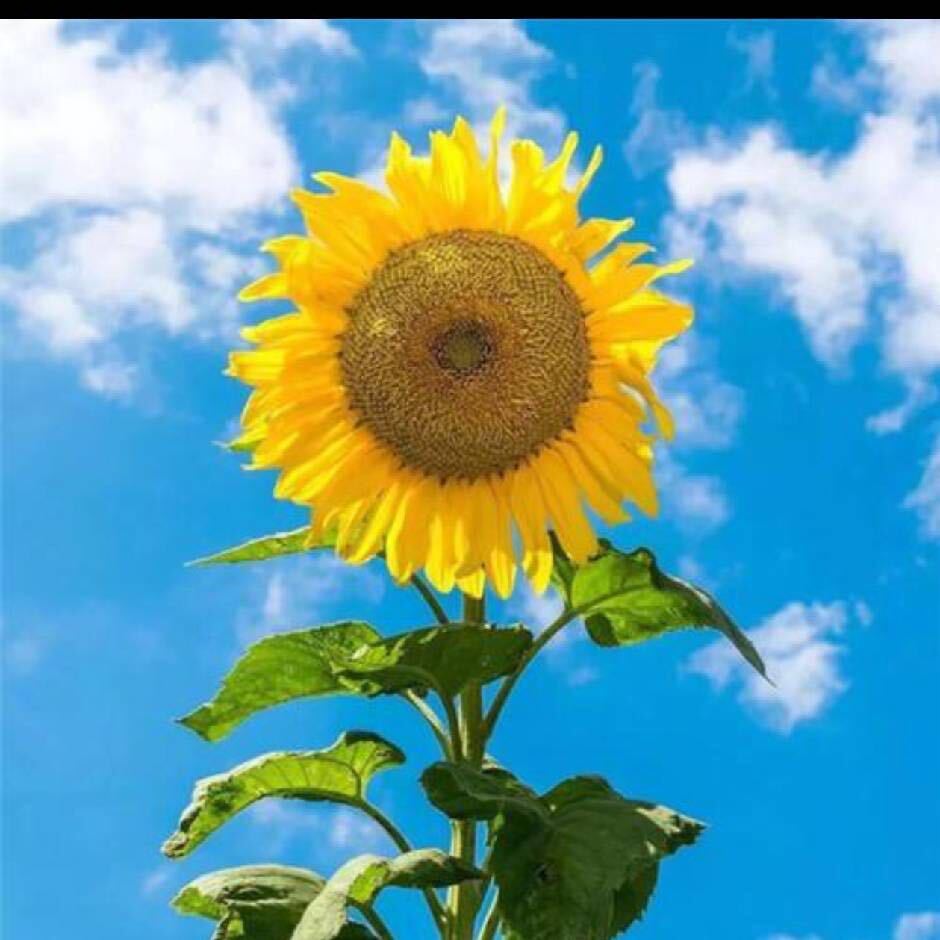 微笑拥抱每一天