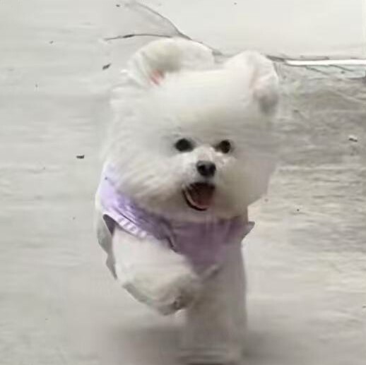 与安