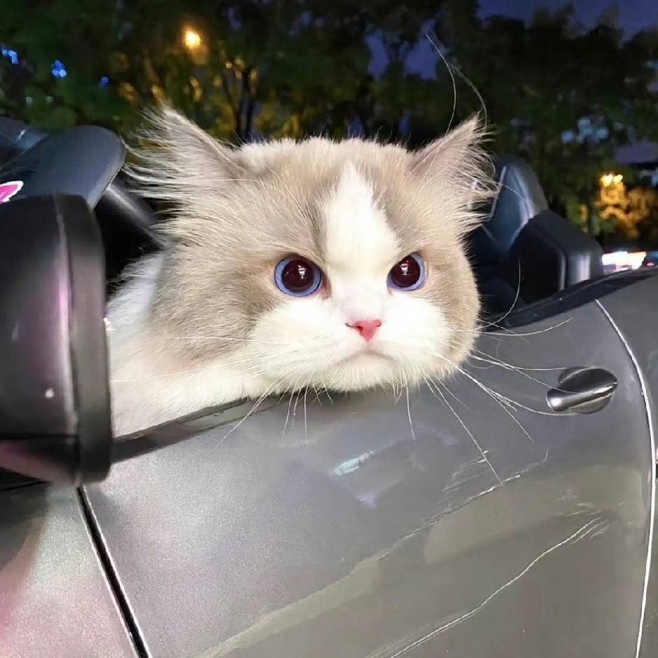 玛卡玐卡