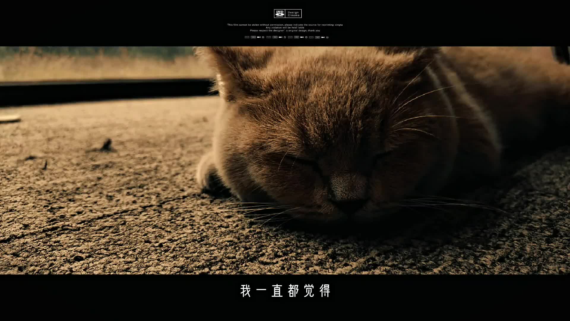  遗憾，又什么？你来，我往，皆过 