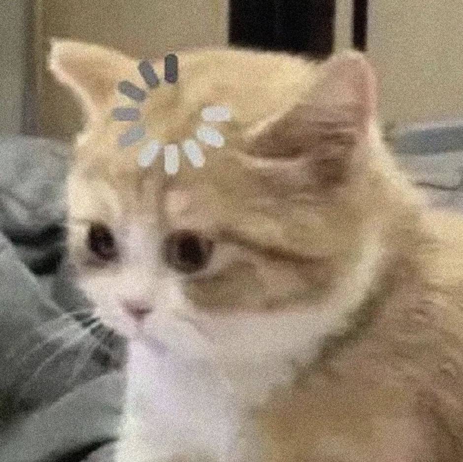 奎子来咯