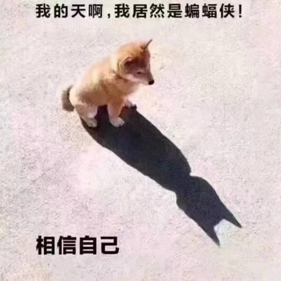 浦东蝙蝠侠