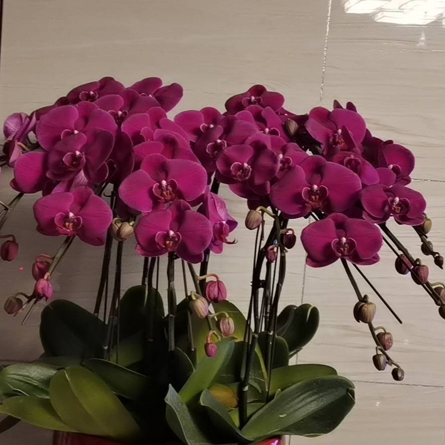 雨涵
