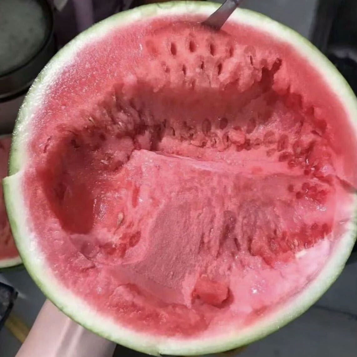西瓜味的小懒虫.