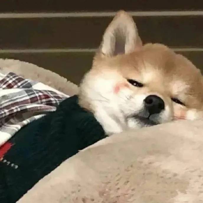 啊哈。