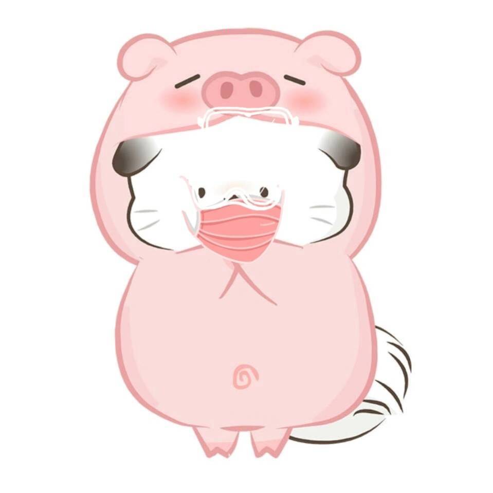 卢晨
