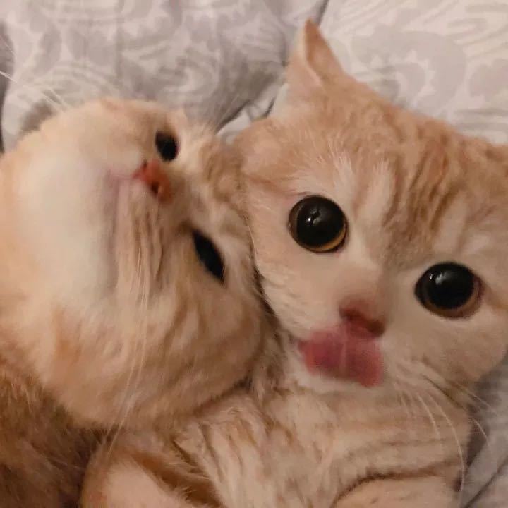 xxxxxxx