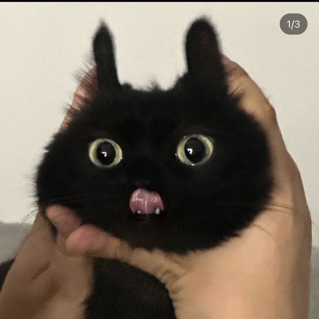 ehchwkhf