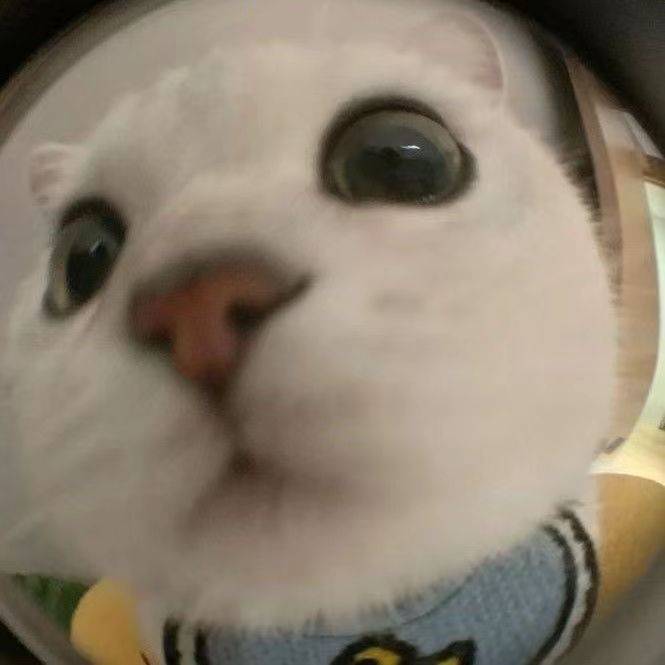Aa