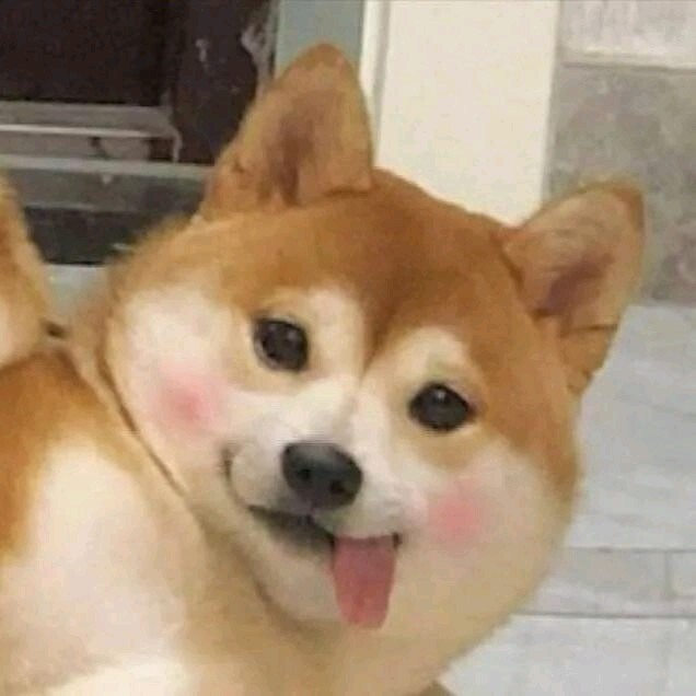 时光