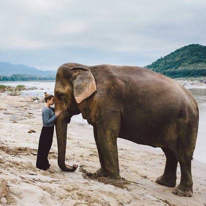 孟超