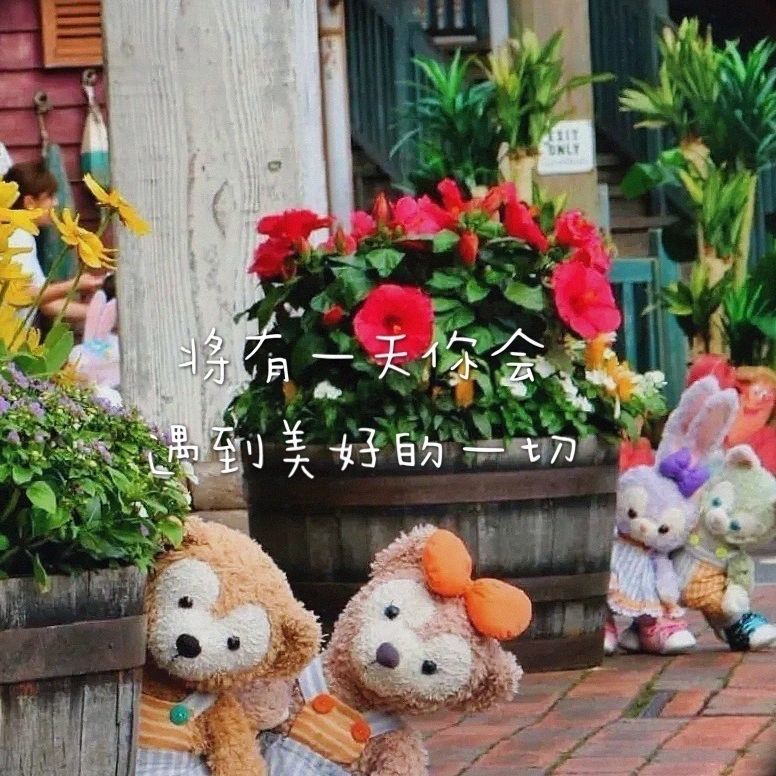 秋秋秋秋