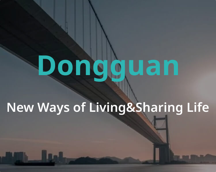 Rent Apartment in Dongguan ChinaPriceSingle Apartmenthostelvillaroom