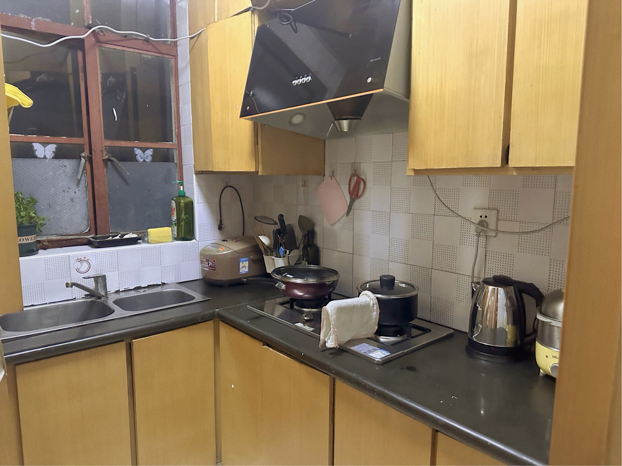 Shanghai-Putuo-Cozy Home,Clean&Comfy,No Gender Limit,Hustle & Bustle,“Friends”,Chilled