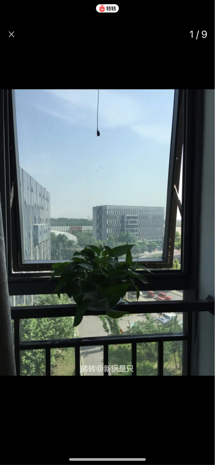 北京-順義-溫馨小窩,乾淨治愈,不限性別,市井煙火氣,老友記,慢時光,LGBTQ友好,寵物友好