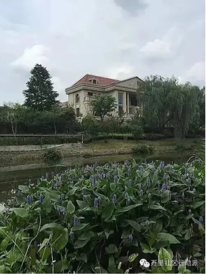 上海 普陀 | 大华·颐和华城紫颐园_4