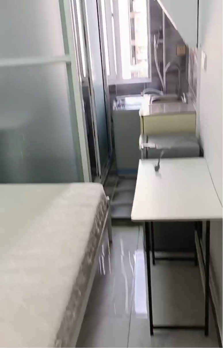 上海-浦东-温馨小窝,不限性别,市井烟火气