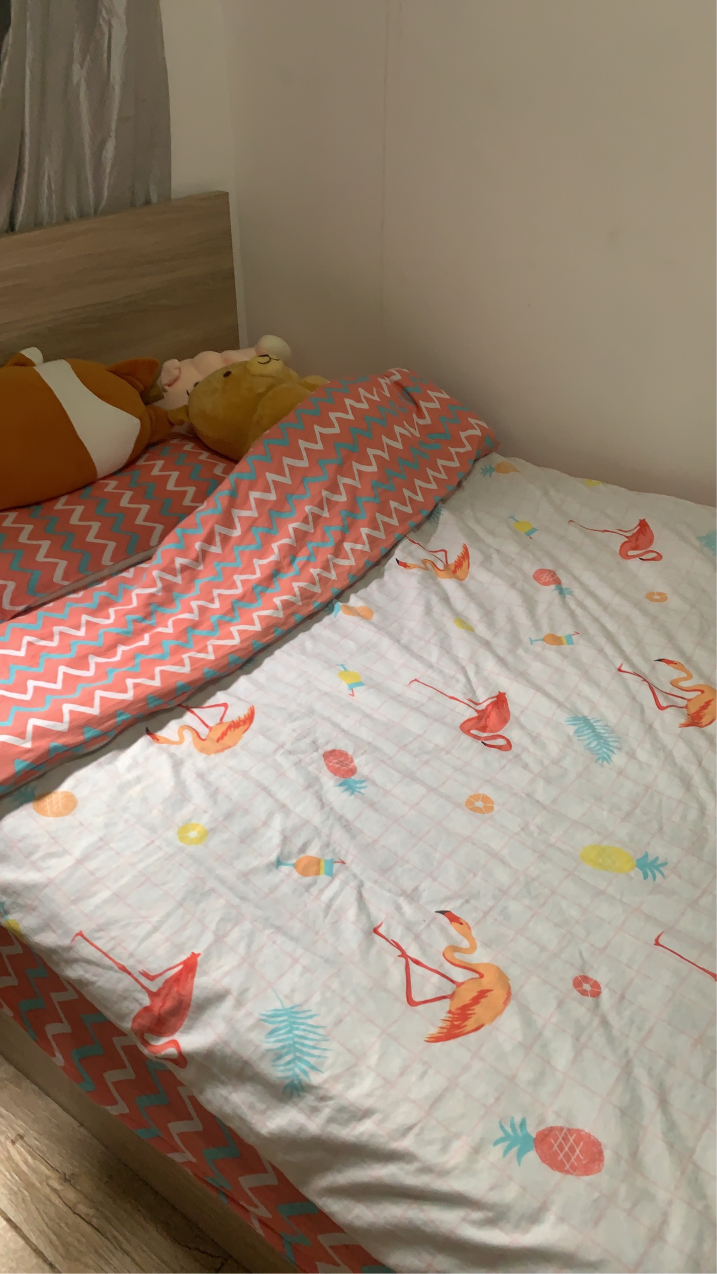 Shirly整租房源1
